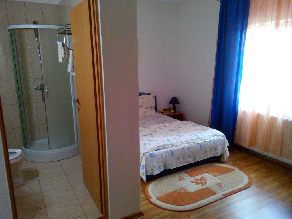 Pensiunea Vladut Timişoara Kamer foto