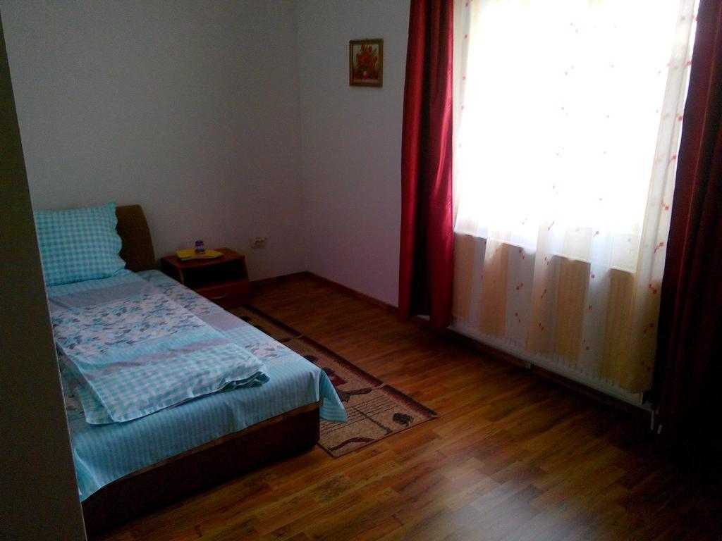 Pensiunea Vladut Timişoara Kamer foto