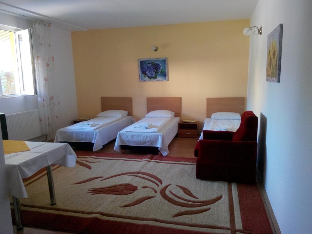 Pensiunea Vladut Timişoara Buitenkant foto