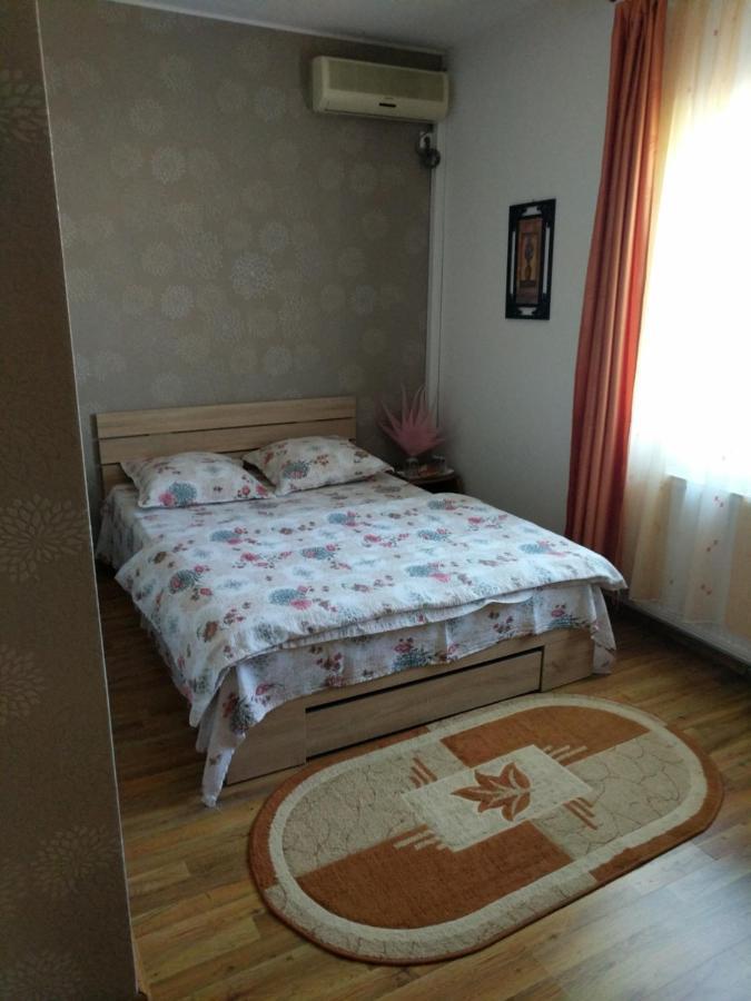 Pensiunea Vladut Timişoara Buitenkant foto