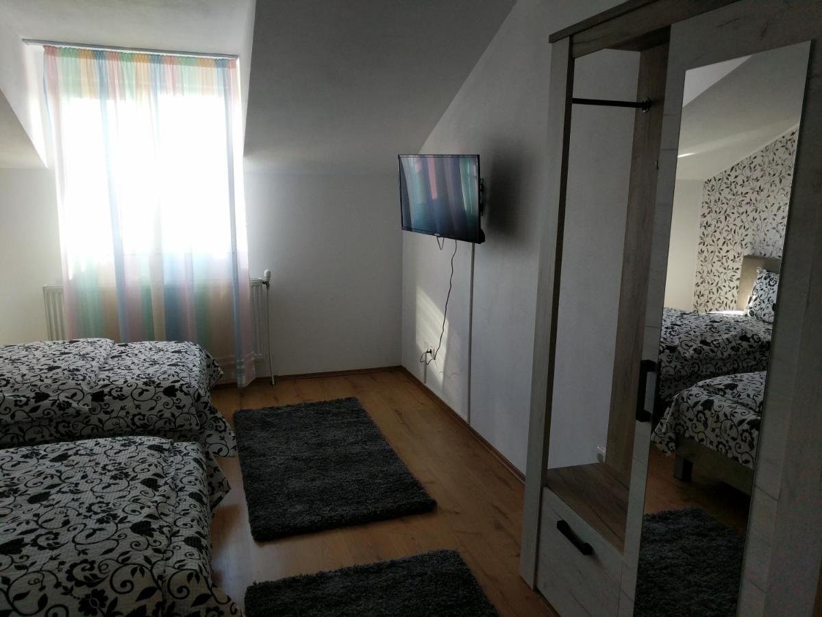 Pensiunea Vladut Timişoara Buitenkant foto