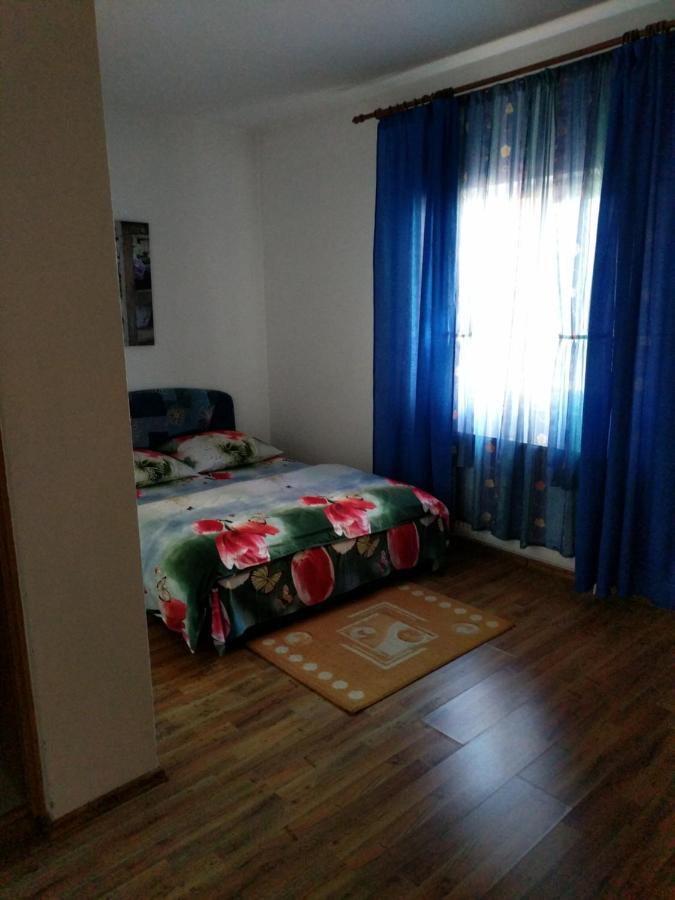 Pensiunea Vladut Timişoara Buitenkant foto