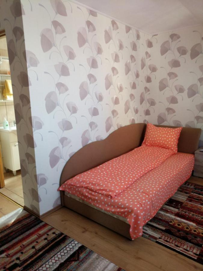 Pensiunea Vladut Timişoara Buitenkant foto